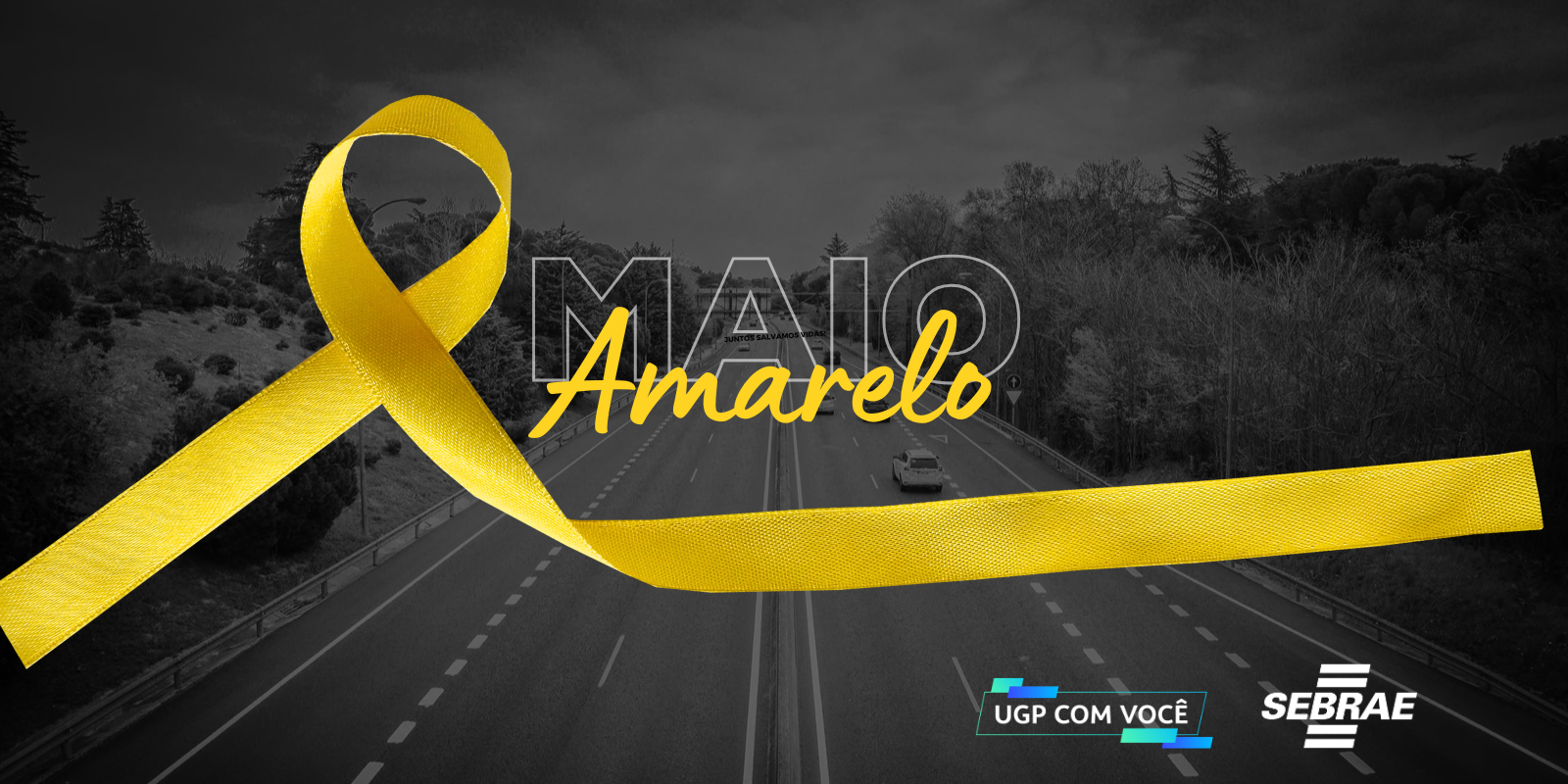 Maio Amarelo: No trânsito, escolha a vida! Maio Amarelo: No trânsito, escolha a vida!